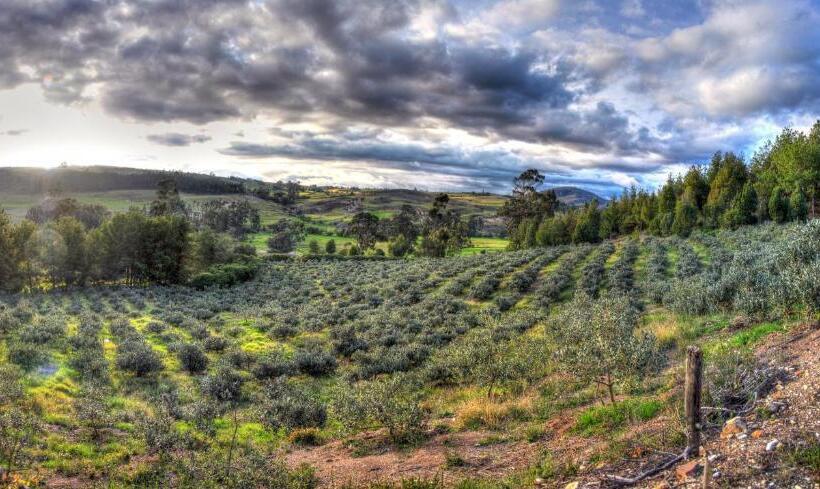 فندق صغير Finca La Tobita Eco