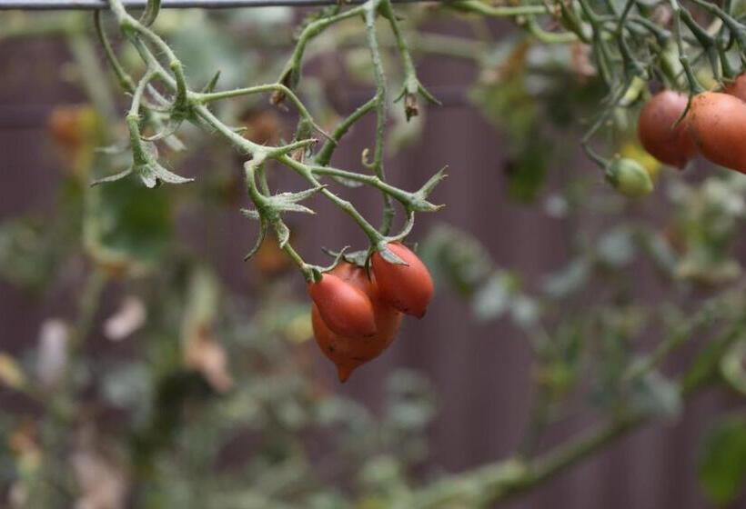 فندق صغير Finca La Tobita Eco