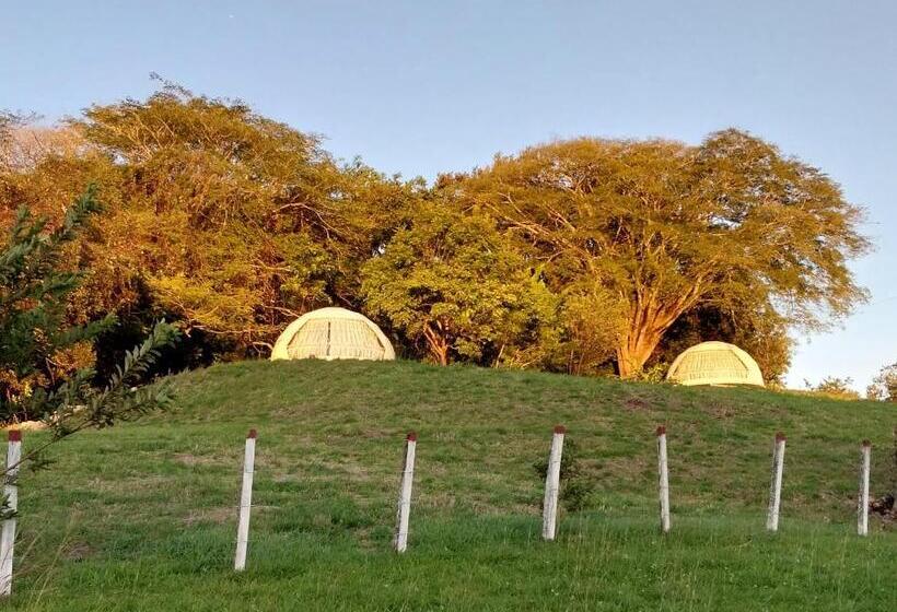 旅馆 Vida Aventura Ranch