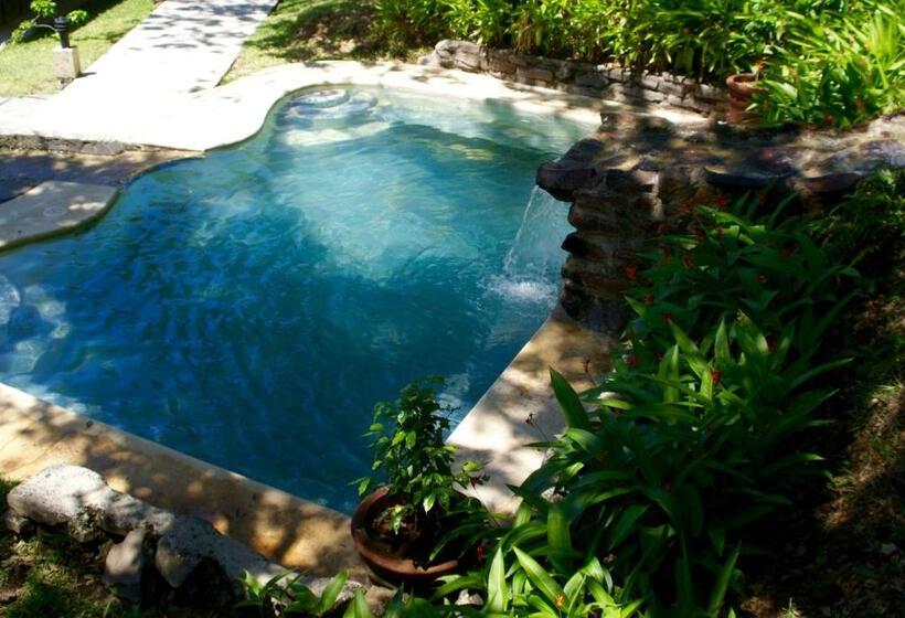 旅馆 Vida Aventura Ranch