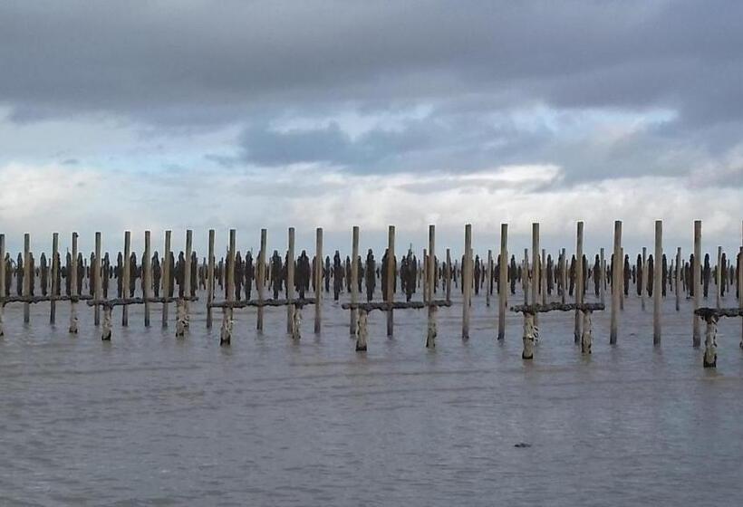 Bed and Breakfast Chambres D'hôtes Le Petit Angle