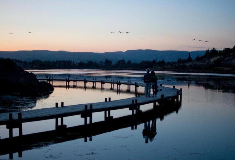 ベッドアンドブレックファースト Le Flamant Rouge Guesthouse