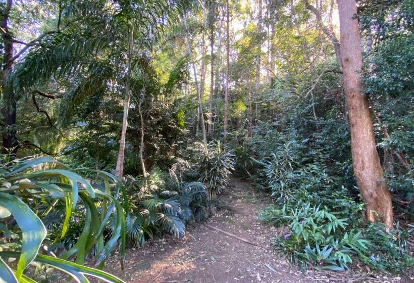 Bed and Breakfast Palmwoods Eco Escape