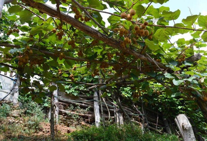 فندق Agriturismo E Turre