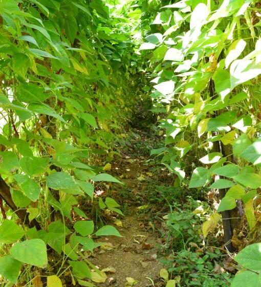 فندق Agriturismo E Turre