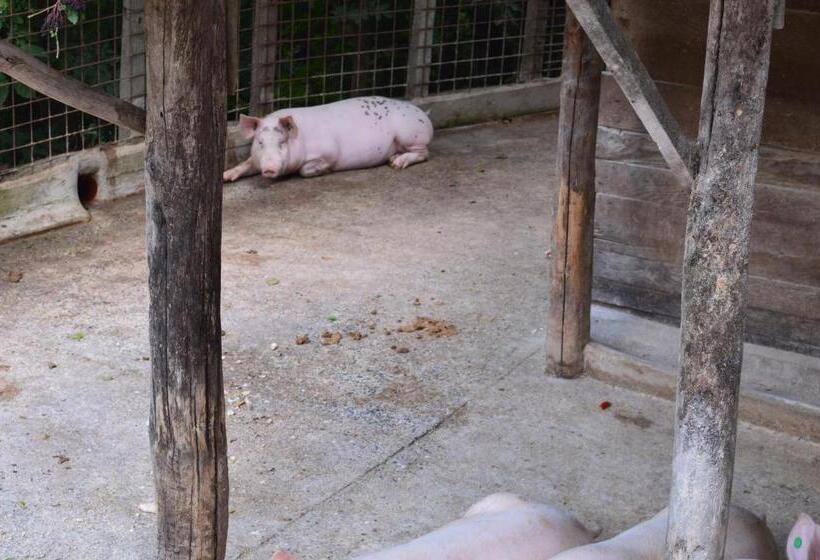 فندق Agriturismo E Turre