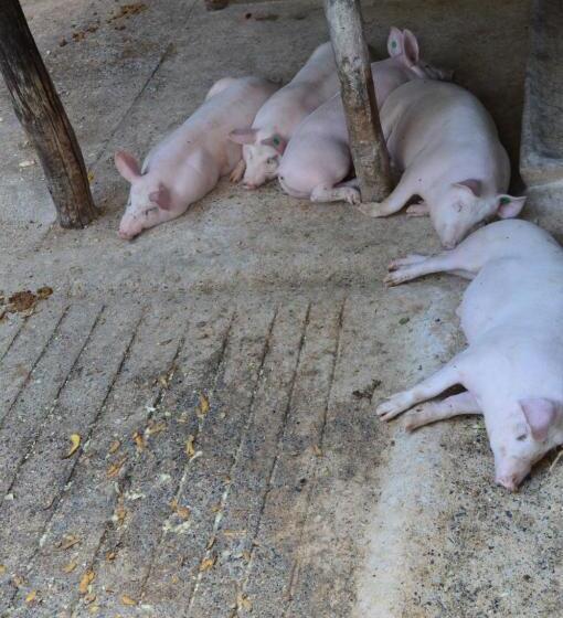 فندق Agriturismo E Turre