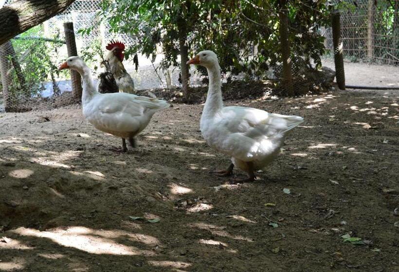 فندق Agriturismo E Turre