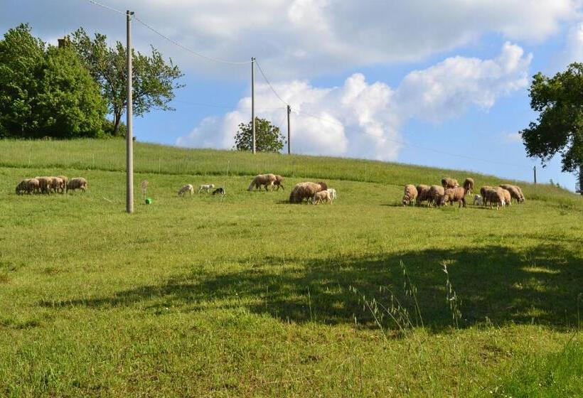 酒店 Agriturismo Montorso