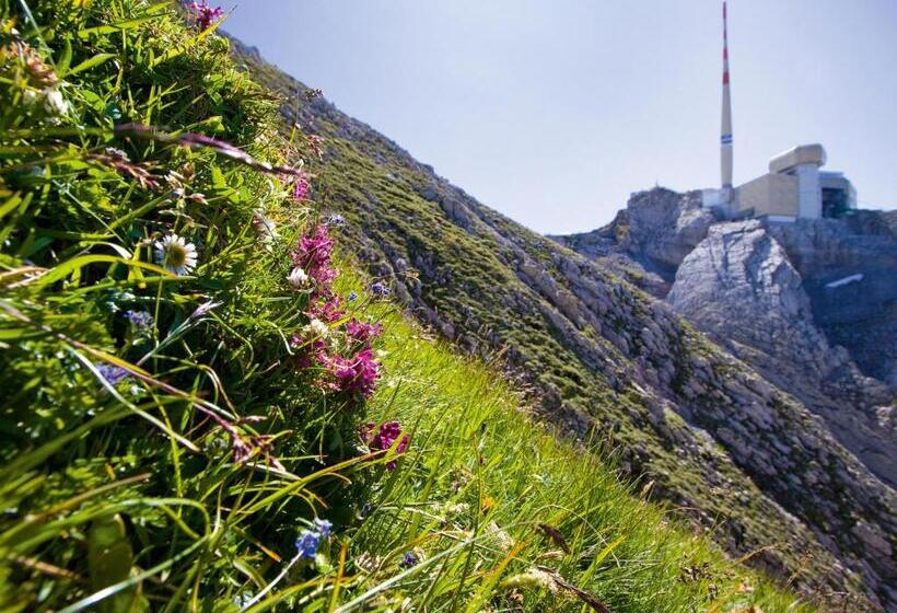 בית מלון כפרי Säntis   Das