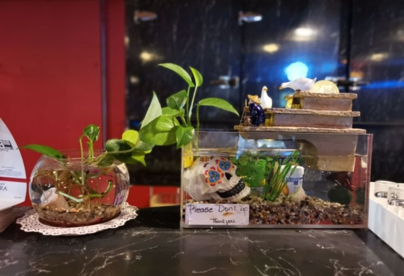 فندق على الطريق Manitou Motor Inn