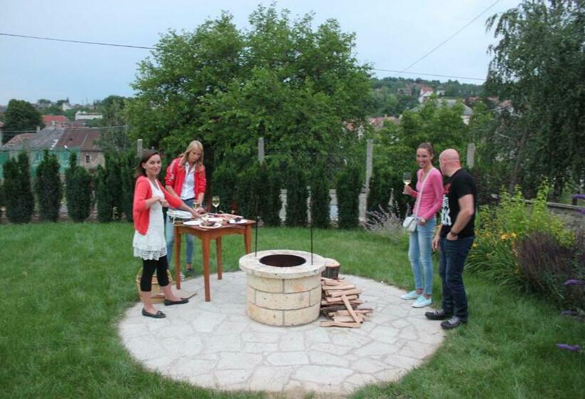 פנסיון Zsirai Guest House