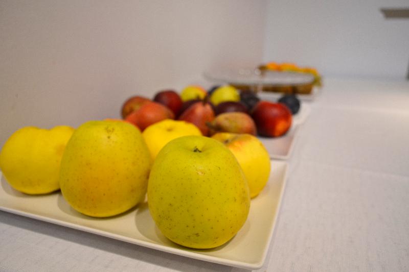 בית מלון כפרי Alda Palacio Valdes