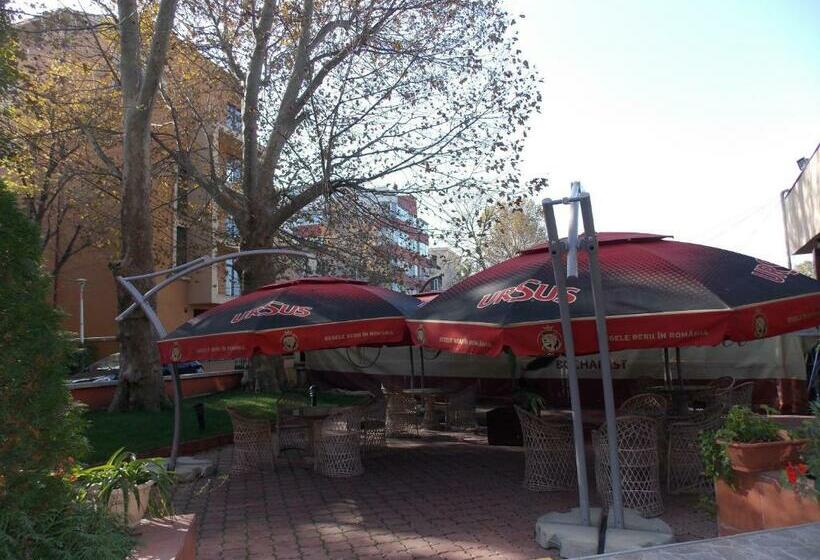 هتل Johann Strauss