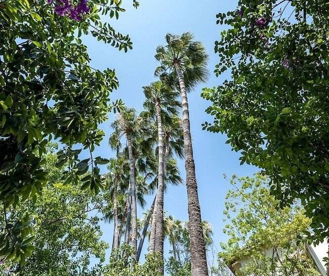 בית מלון כפרי Riverside Garden Resort