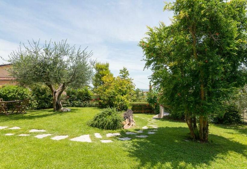 B&b Terramare