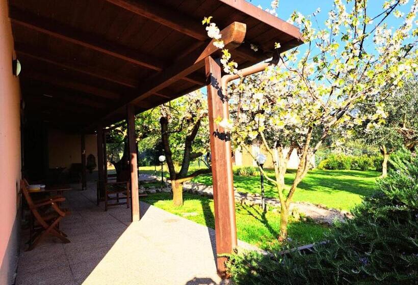 مبيت وإفطار Don Federico Country Inn