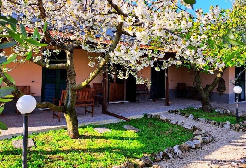 مبيت وإفطار Don Federico Country Inn