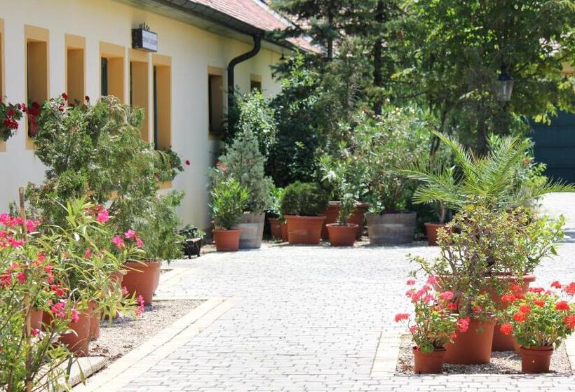 مبيت وإفطار Levanda Panzió