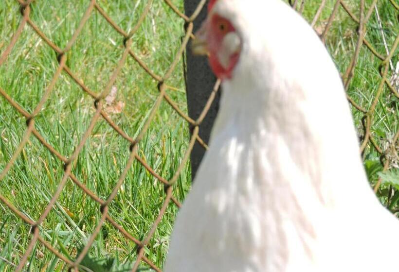 ベッドアンドブレックファースト Vinita Chambres D'hôtes