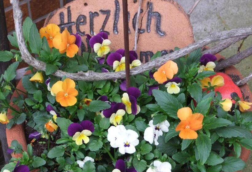 Pension / Ferienwohnungen Scheid