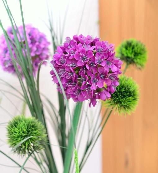 Pension / Ferienwohnungen Scheid