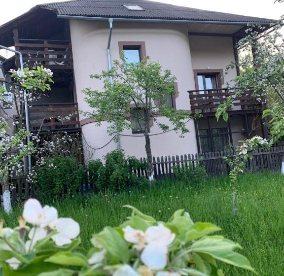 膳宿费 Sadyba Lesivykh
