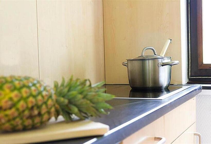 リゾートホテル Vulkaneifel Type B