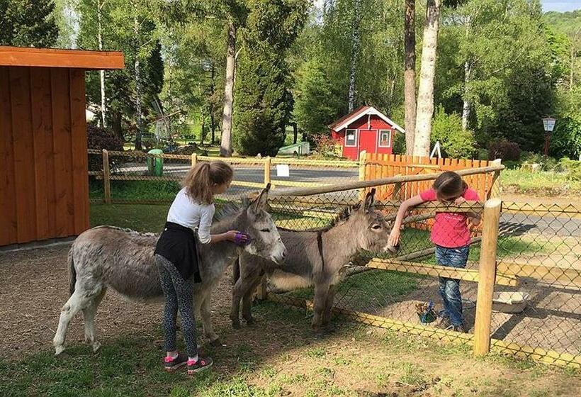 リゾートホテル Vulkaneifel Type D