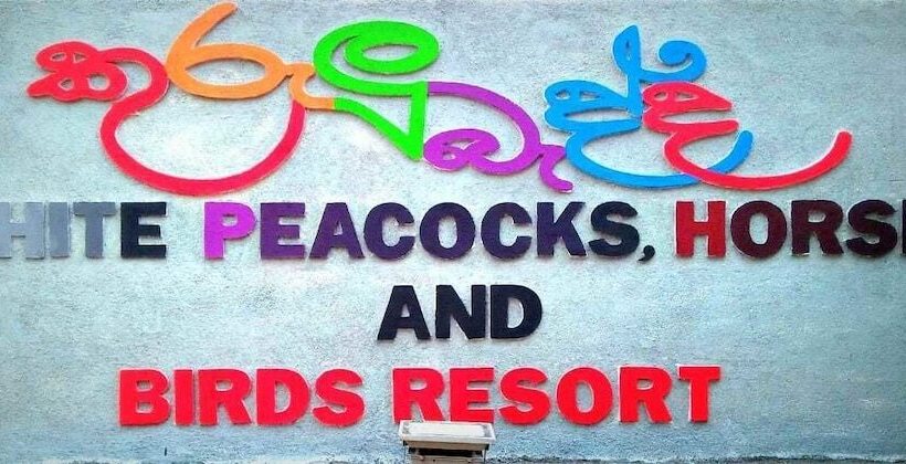 酒店 White Peacocks And Birds Resort