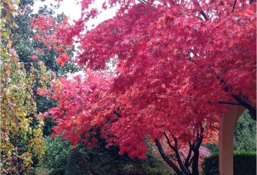 B&b Alla Gazza Ladra