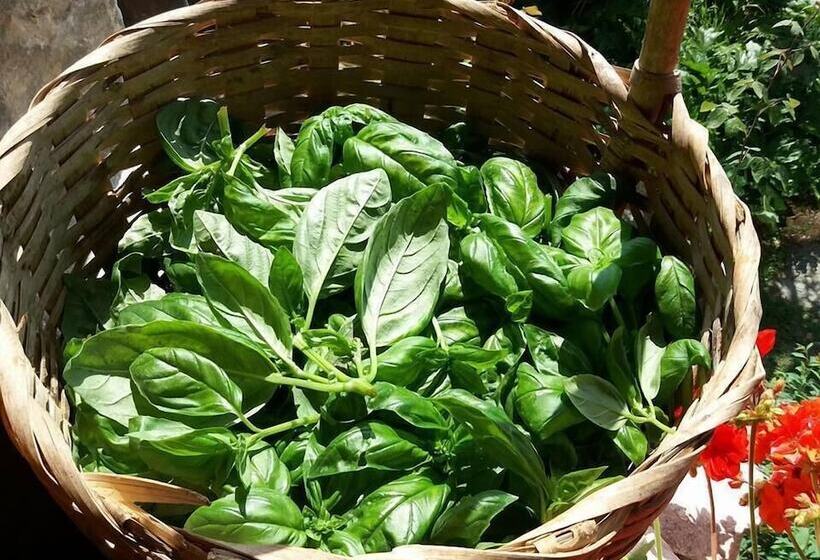 B&b I Campi Di Lino