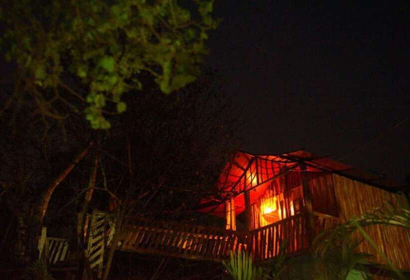 Dandeli Mysa Rc   Hostel
