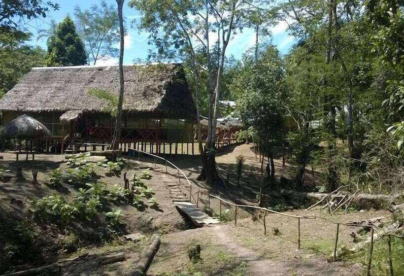 Отель Amazon Queen Lodge
