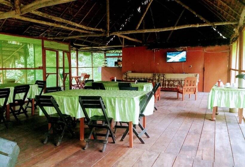 Отель Amazon Queen Lodge