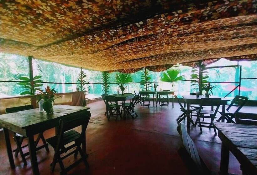 Отель Amazon Queen Lodge