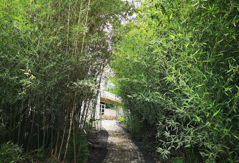 فندق Hostería Ecopark