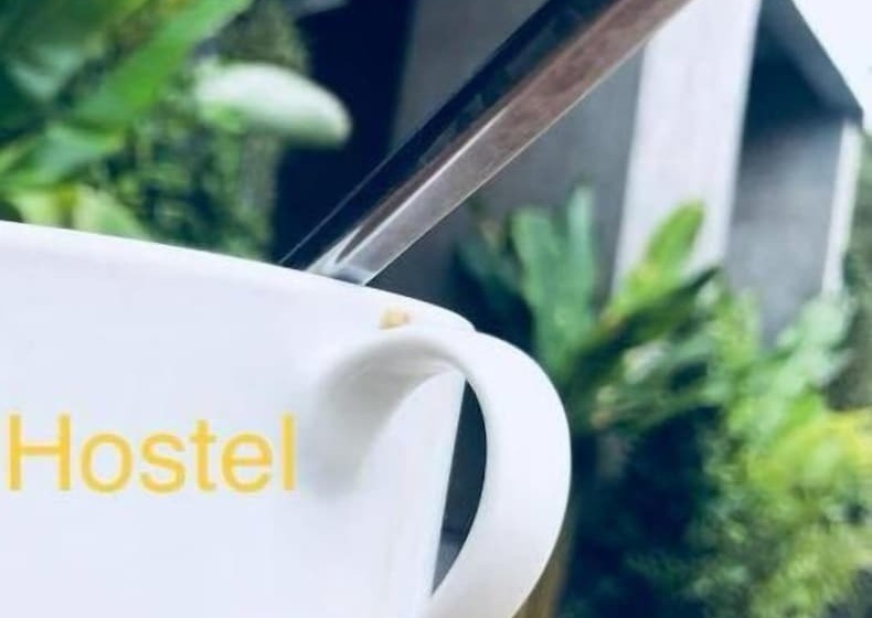 فندق P Loft Hostel