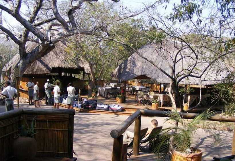 Отель Tembe Elephant Park Lodge
