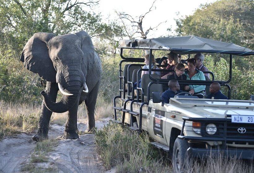 Отель Tembe Elephant Park Lodge