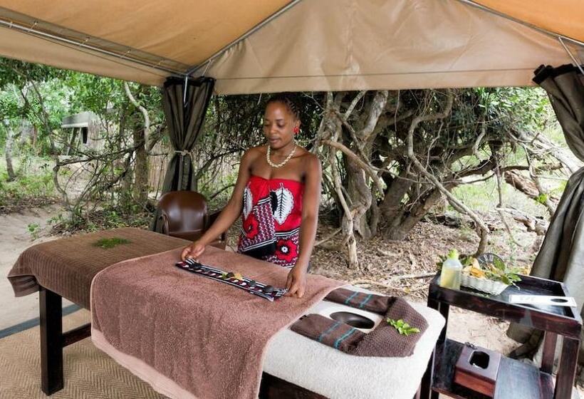 Отель Tembe Elephant Park Lodge