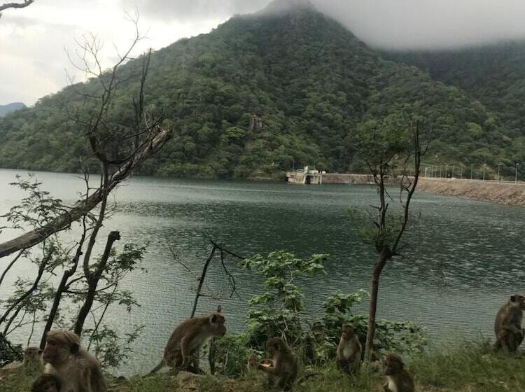 膳宿费 Iquest Colombo