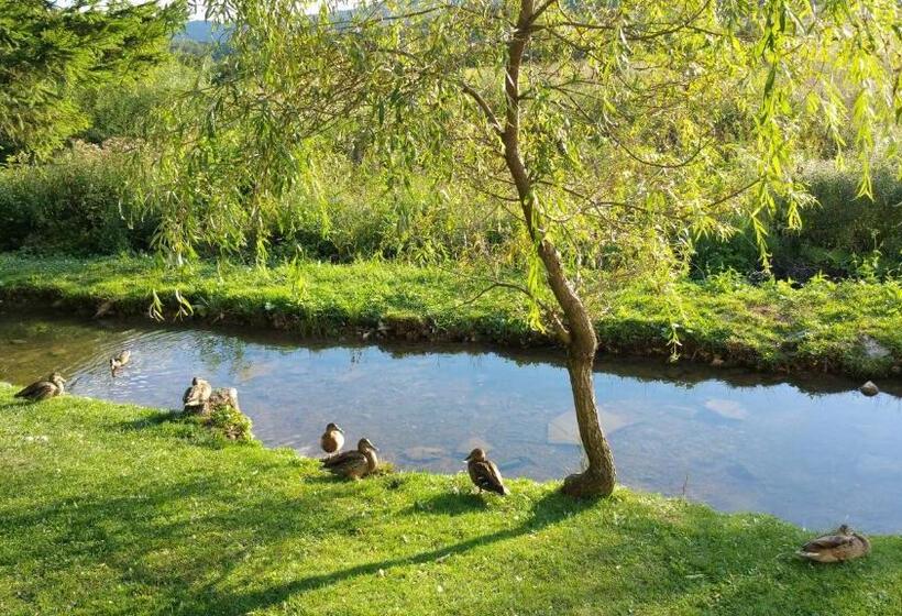 פנסיון Rustic Inn River