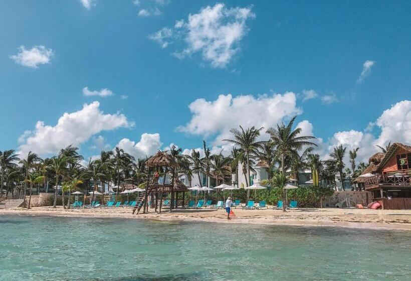 هتل Margaritaville Island Reserve Riviera Cancún A Karisma - All Inclusive Experience For All