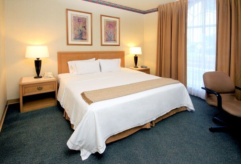 Istay Hotel Ciudad Victoria