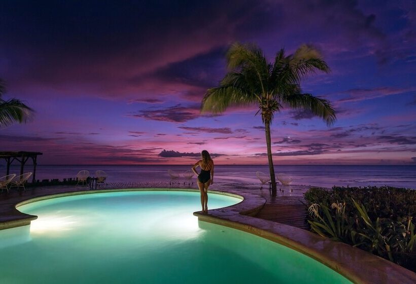 Villas Flamingos