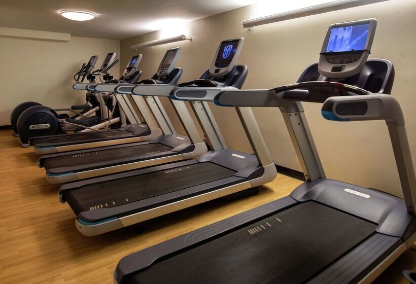 Doubletree By Hilton Hotel Tampa Airport  Westshore