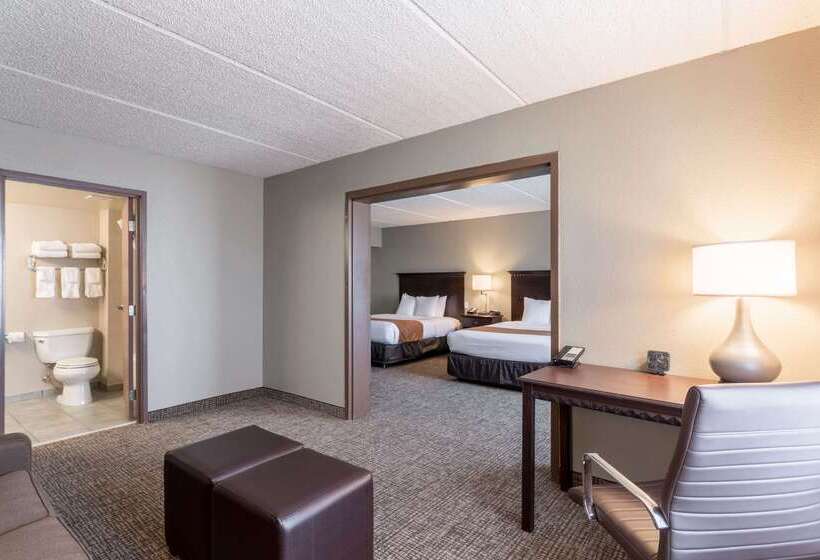 호텔 Comfort Suites Austin Airport