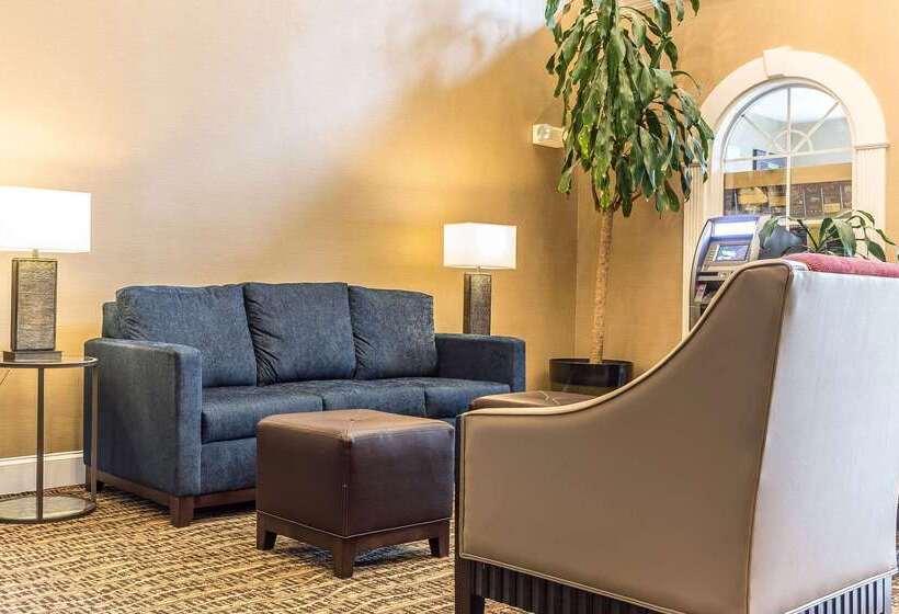 酒店 Comfort Suites Myrtle Beach Central