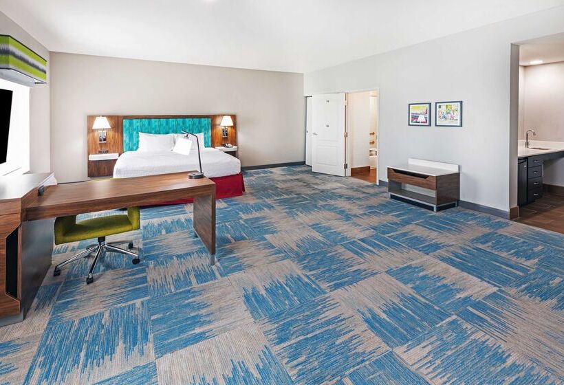 هتل Hampton Inn & Suites Houston Heights I 10